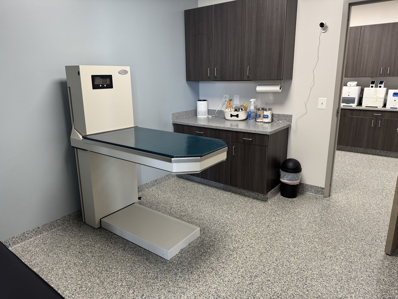 Dog exam room with lift table and calming environment