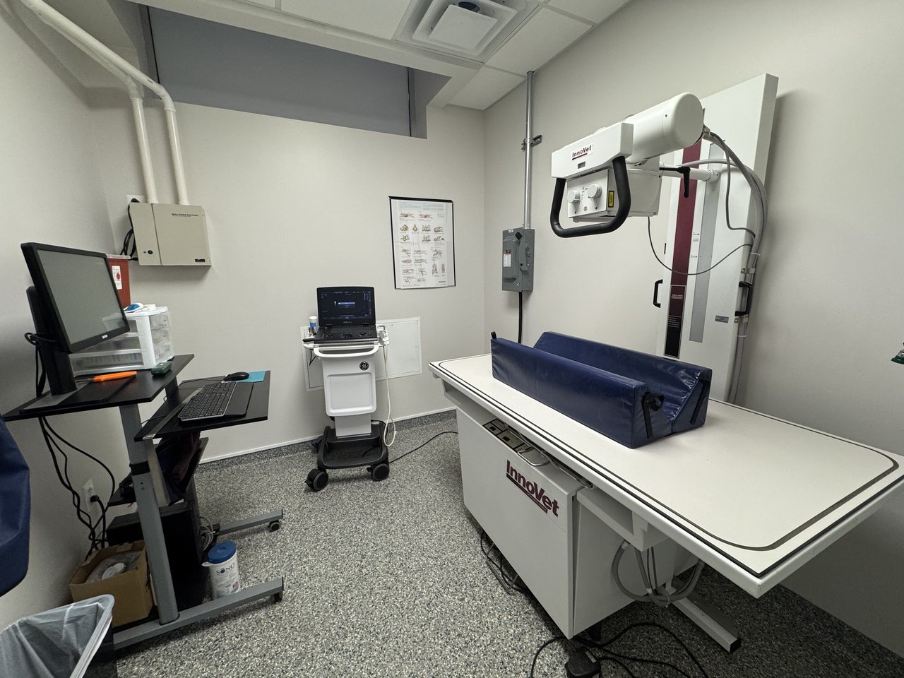 X-ray diagnostics equipment